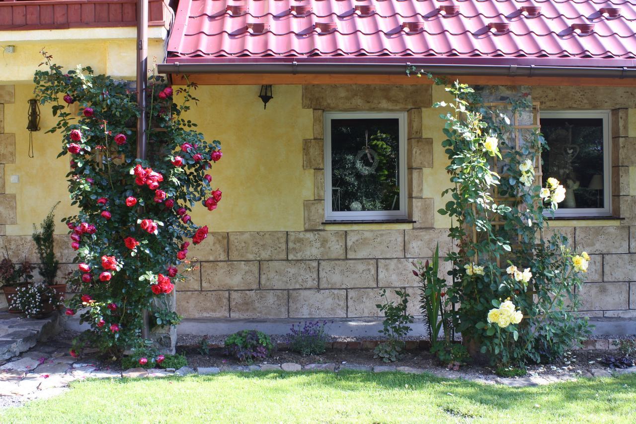 Dom Na Klonowym Wzgorzu Bed & Breakfast Stronie Slaskie Ngoại thất bức ảnh