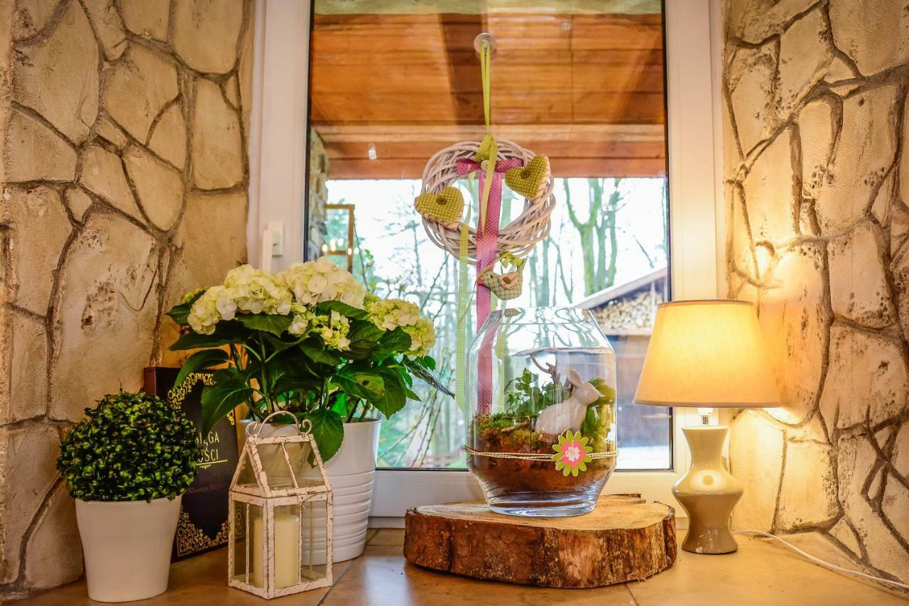 Dom Na Klonowym Wzgorzu Bed & Breakfast Stronie Slaskie Ngoại thất bức ảnh